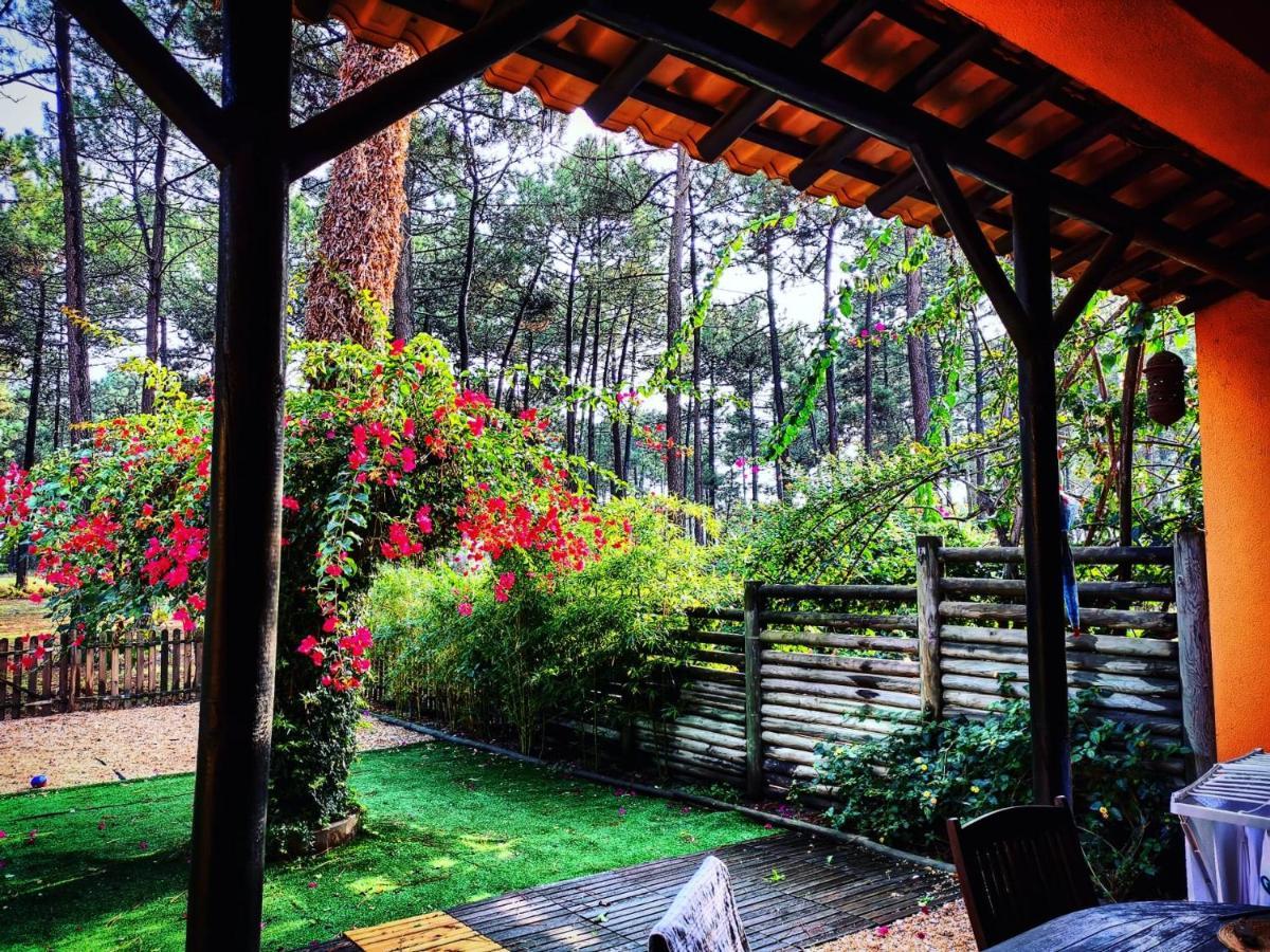 Dolphin Aroeira Beach Villa Charneca  Exterior photo